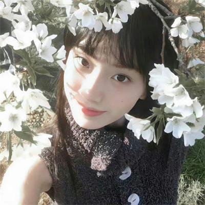 恐怖绘本第六季 在线观看